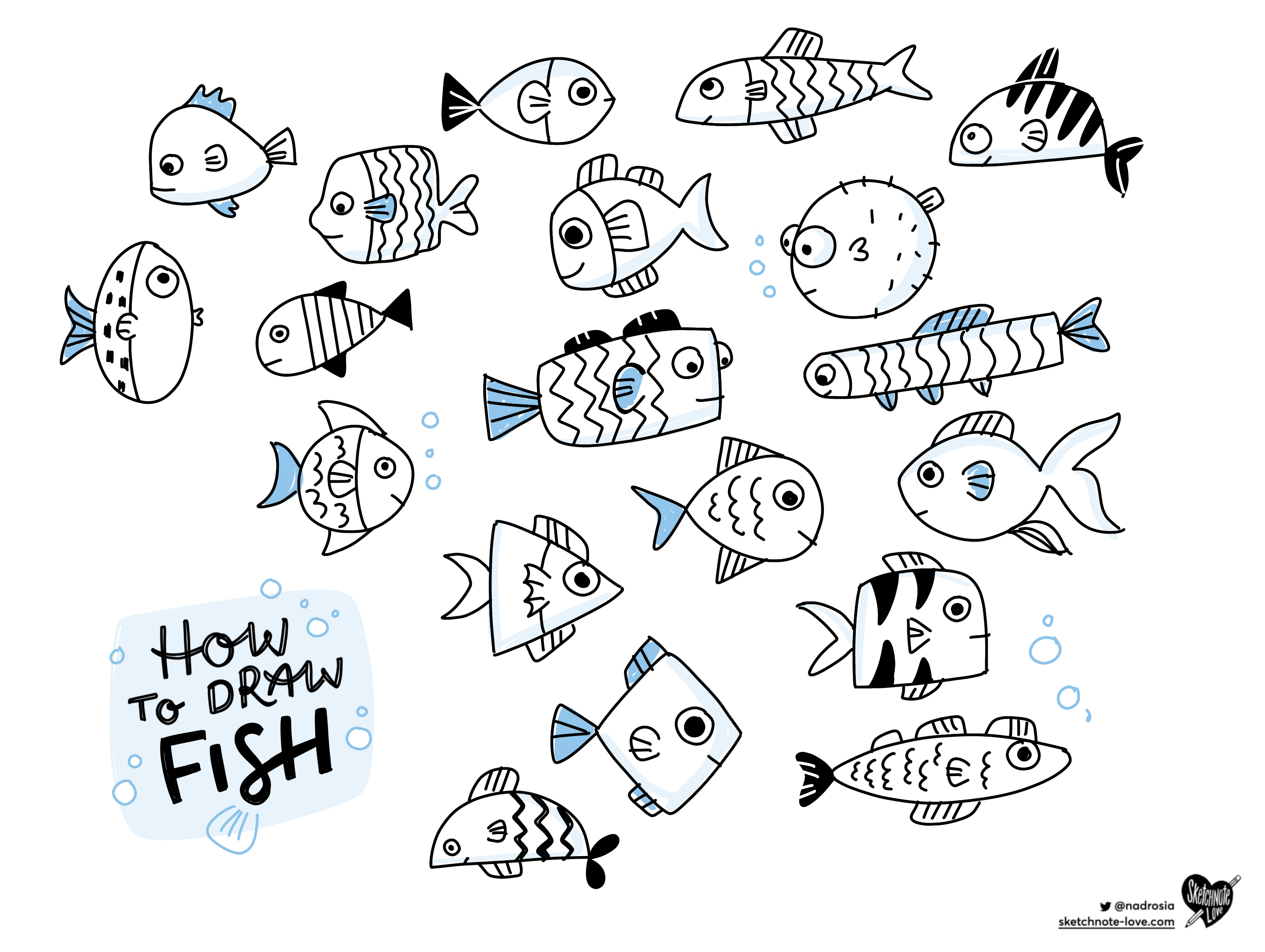 How to Draw: Fische - Sketchnote Love