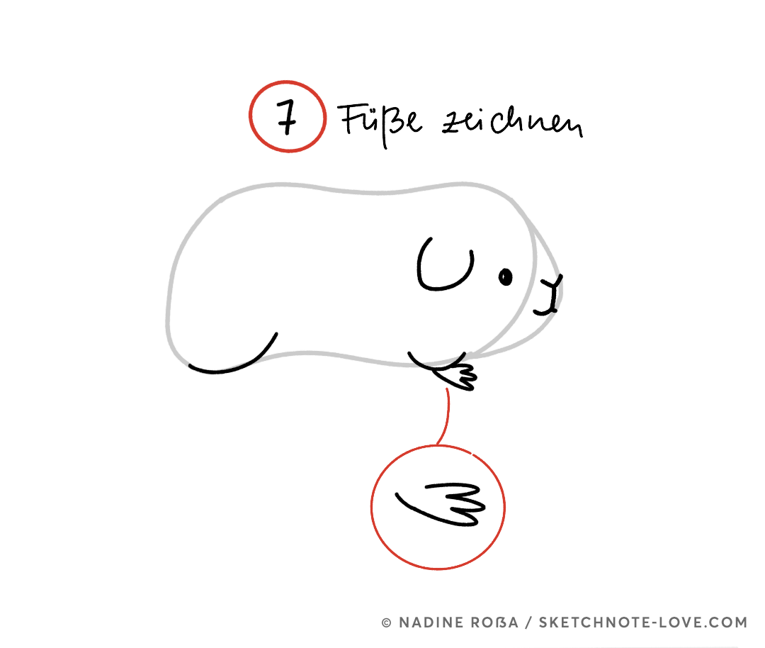 Ein Meerschweinchen zeichnen – eine Zeichenanleitung