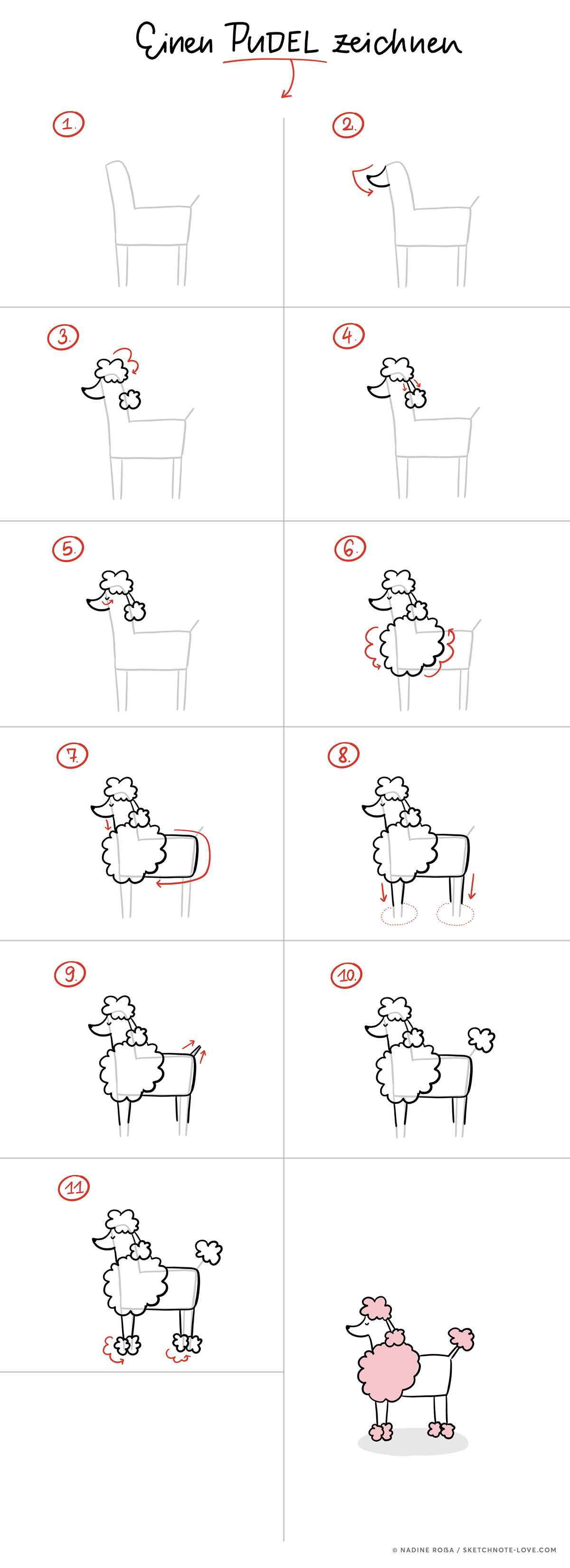 Einen Pudel zeichnen in wenigen Schritten – Zeichenanleitung