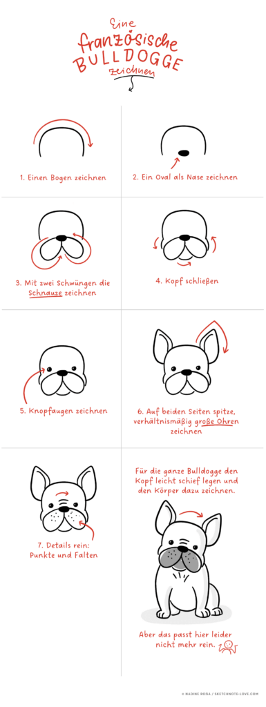 How to draw: Eine französische Bulldogge zeichnen – So geht's ...
