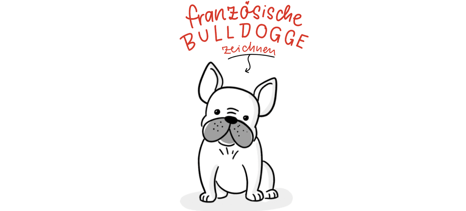 Hunde zeichnen: Eine französische Bulldogge zeichen – Anleitung