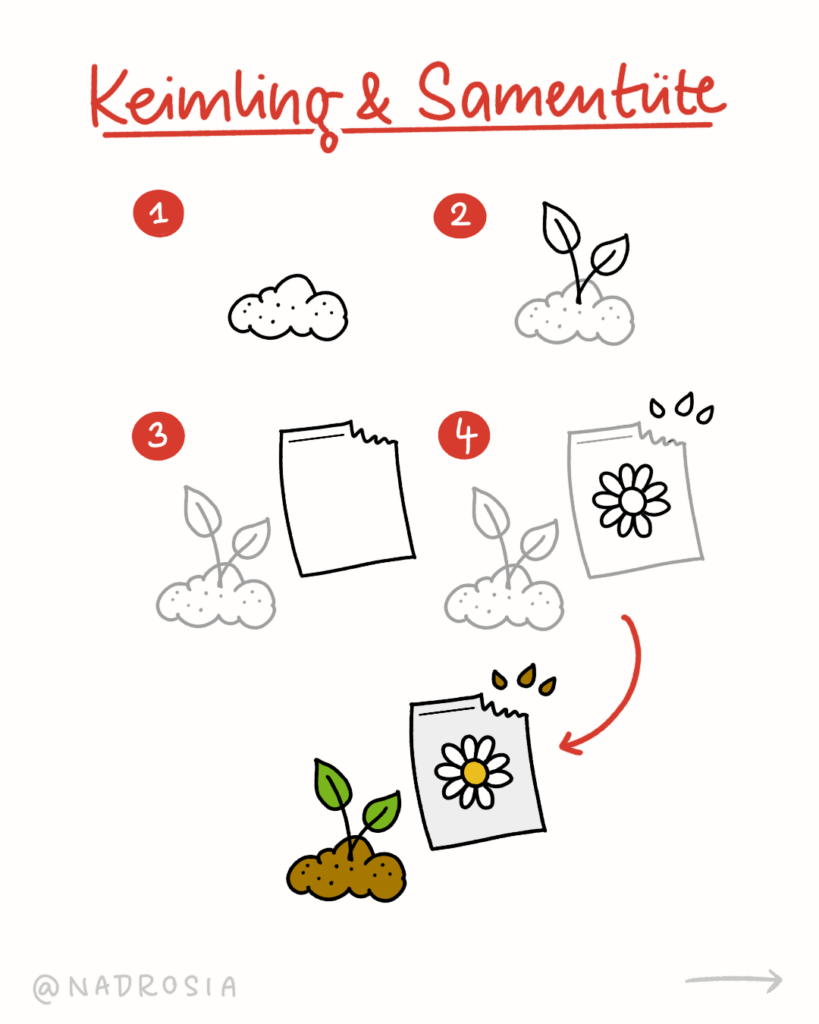 Zeichenanleitung für einen Keimling aus der Erde und eine Samentüte als Symbol für Frühling und Aussaat.