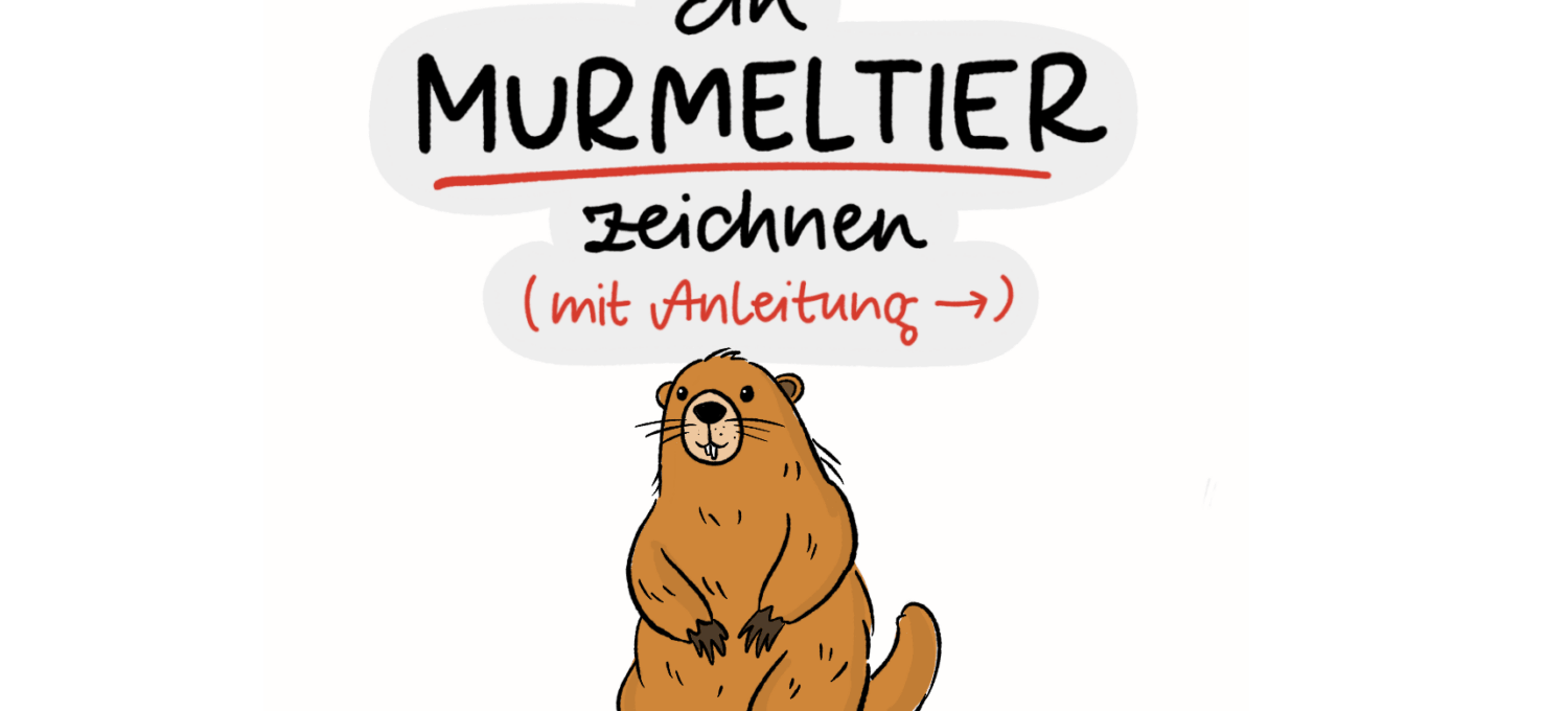 Zeichenanleitung für ein Murmeltier in neun Schritten: Von der einfachen Grundform über Gesicht, Ohren, Pfoten und Schwanz bis zum fertig ausgemalten Murmeltier.“